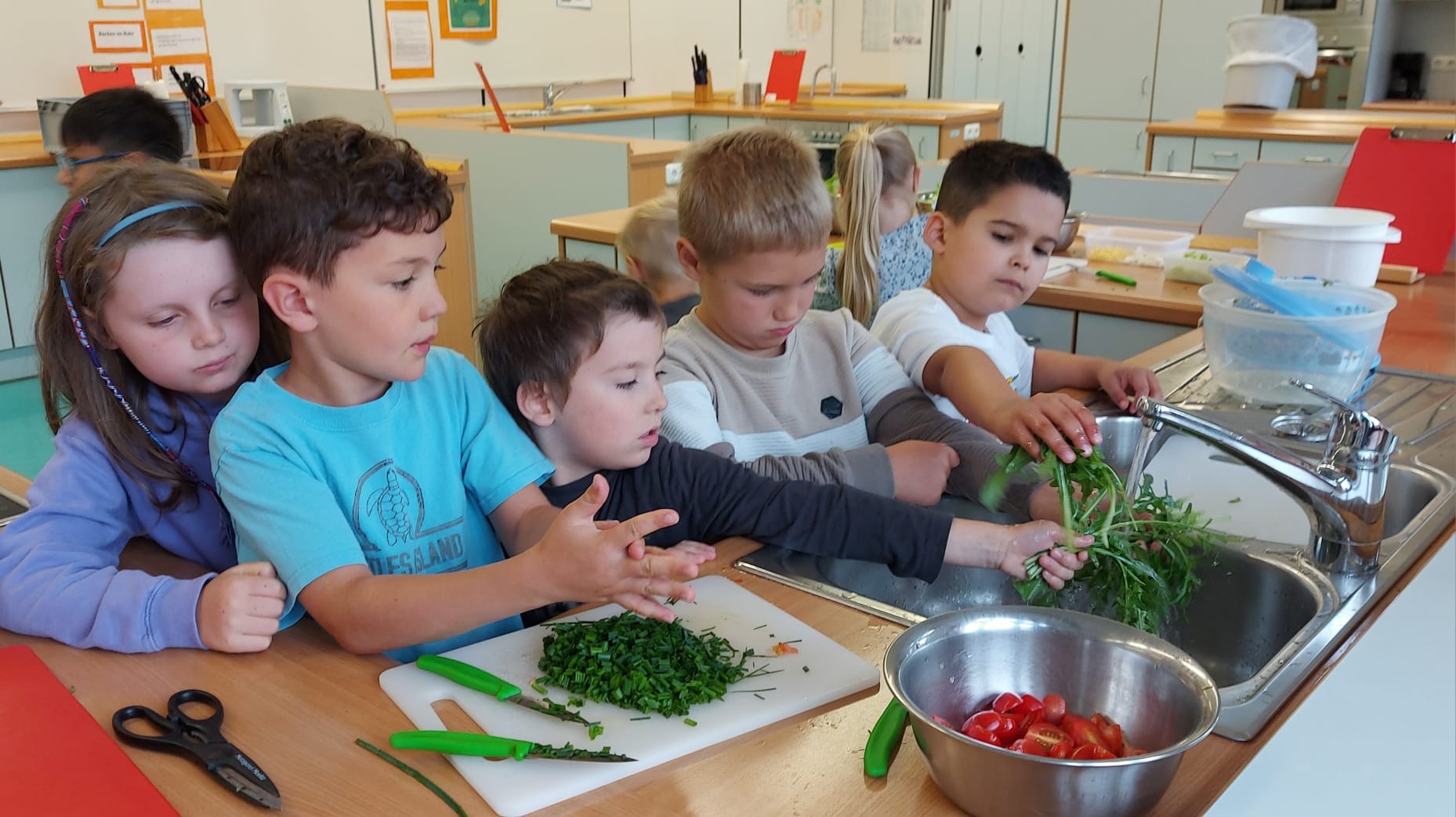 Salatkinder1a